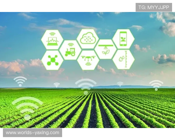 亚博体育app网址登录入口安全保障措施详解，保障用户信息安全