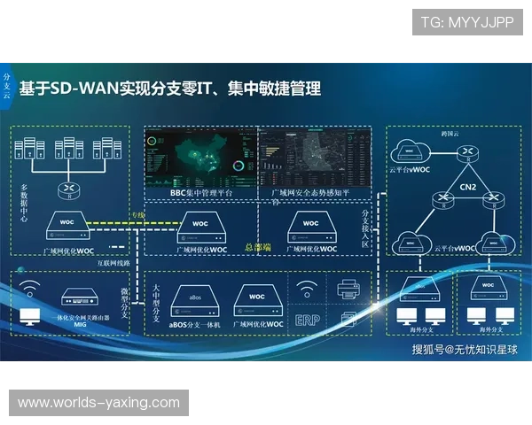 开云数字站帮助企业深入挖掘数据价值，实现业务优化和客户体验提升