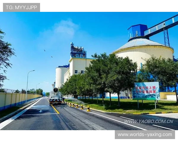 亚星娱乐集团官网的历史沿革与品牌荣誉回顾全景揭秘