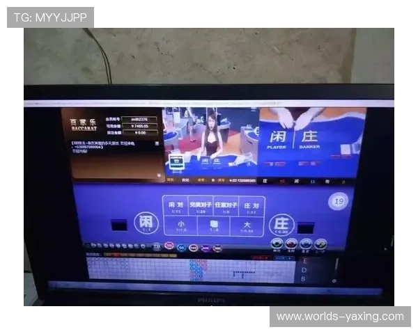 亚星官网868用户评价与使用体验分享
