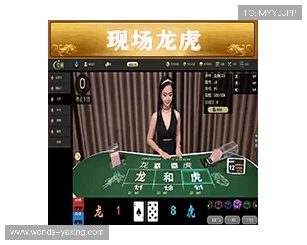 亚星游戏官方网站登陆入口功能介绍与使用攻略，提升您的游戏体验