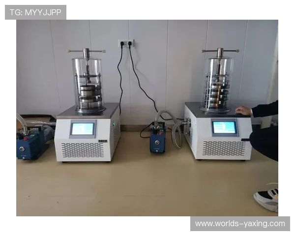 亚星仪科企业发展历程与市场布局策略,为行业提供宝贵经验借鉴 亚星仪科企业发展历程与市场布局策略,为行业提供宝贵经验借鉴