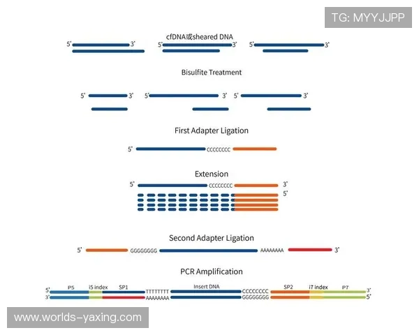 亚星管理平台 hzxydn在游戏市场推广中的应用策略与效果评估