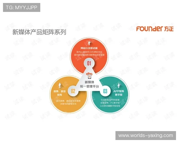 亚星管理网平台入口登录失败原因分析及应对策略