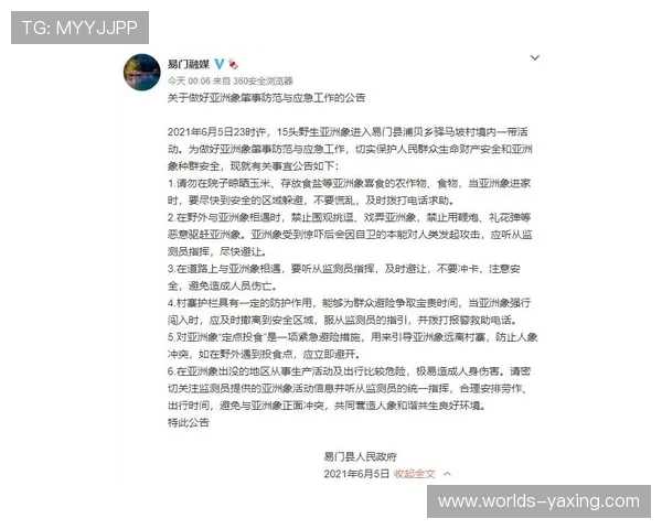 如何应对亚星正网会员登录不了的困扰与预防措施